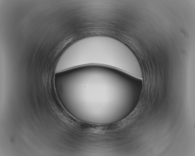 X0000112810120200908210947