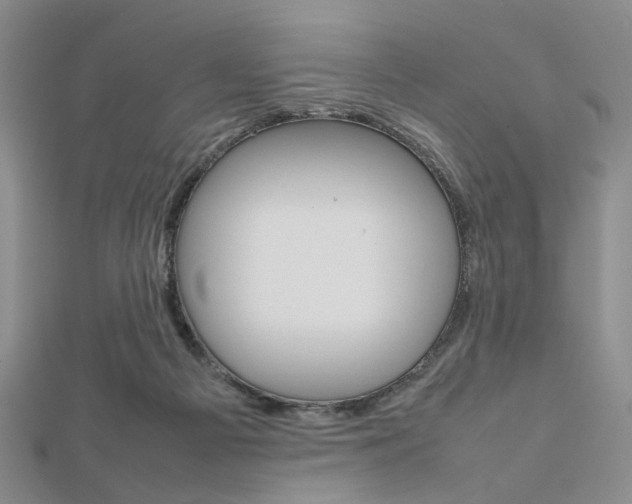 X0000112810121200908210947