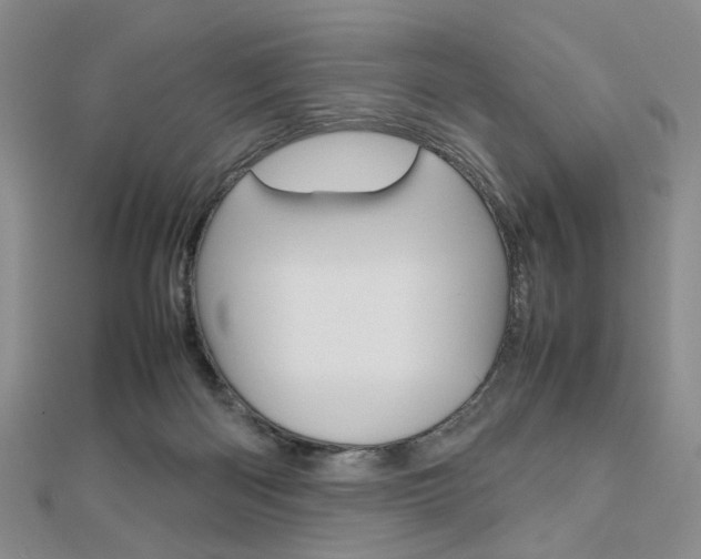 X0000112810122200908210947