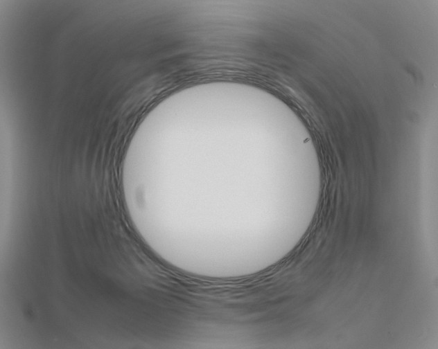 X0000112810125200908210946