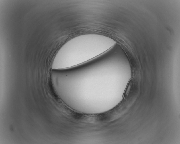 X0000112810127200908210946