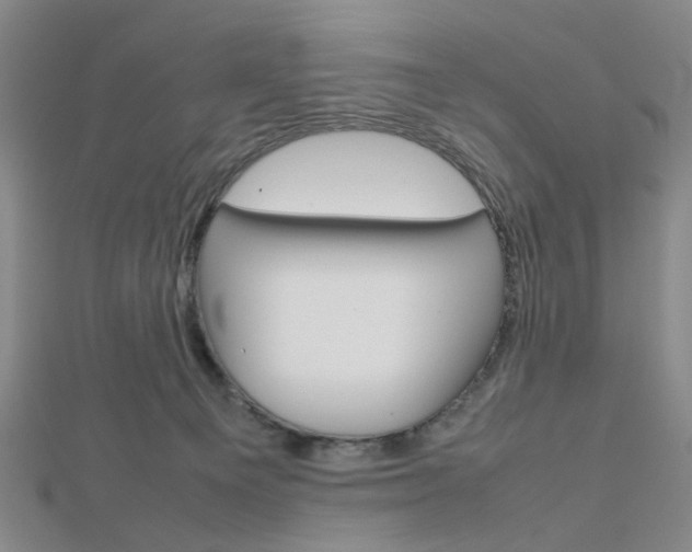 X0000112810129200908210946