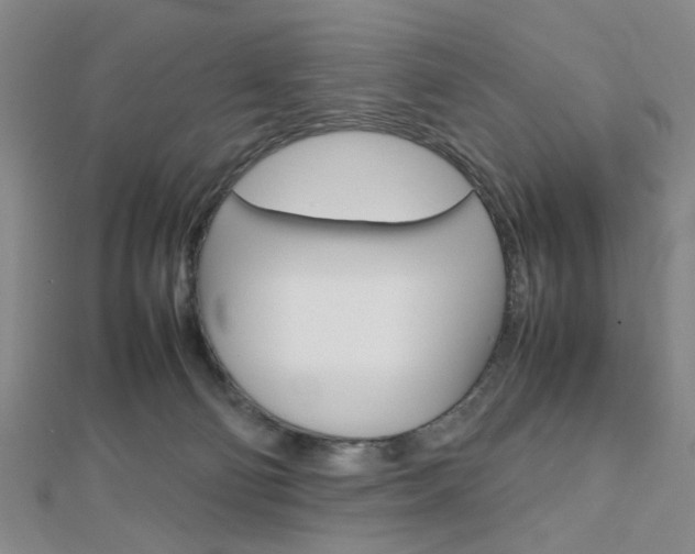 X0000112810130200908210946