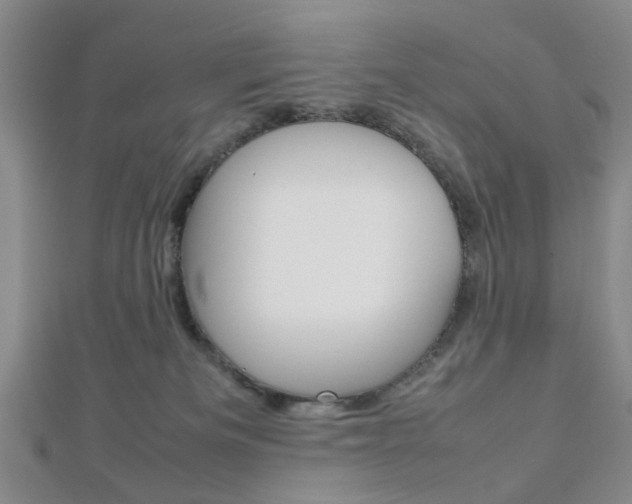 X0000112810133200908210946