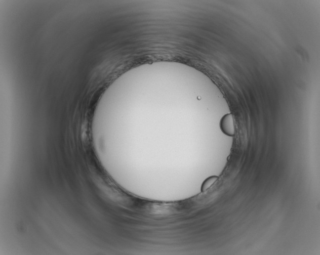 X0000112810134200908210946