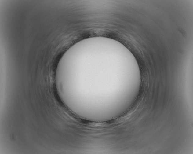 X0000112810135200908210946
