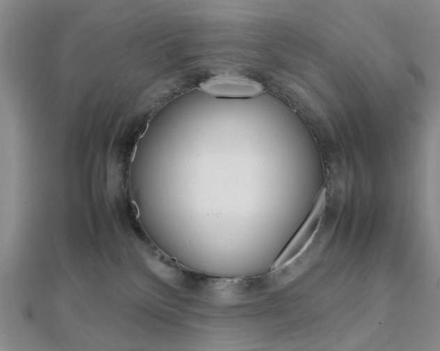 X0000112810136200908210946