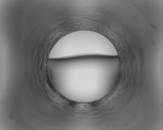 X0000112810137200908210946