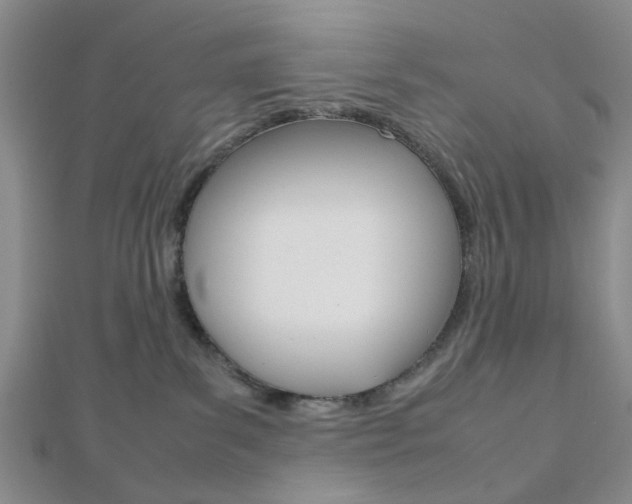 X0000112810139200908210946