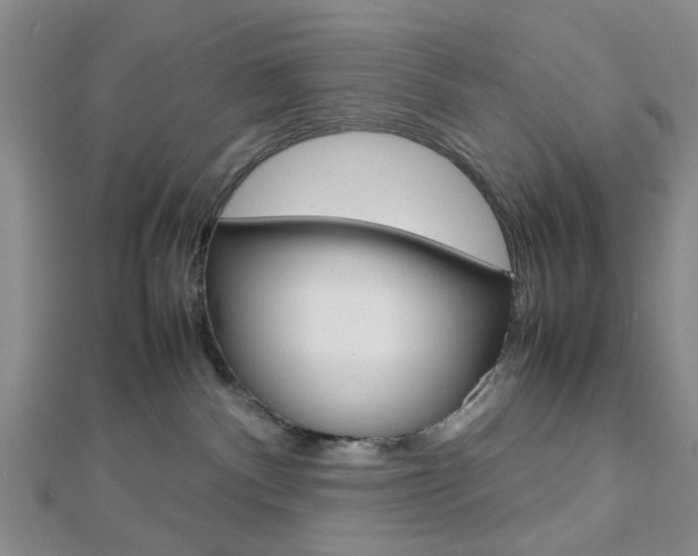X0000112810140200908210946