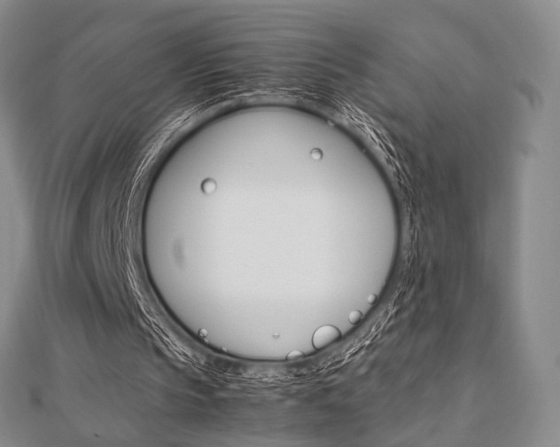 X0000112810145200908210946