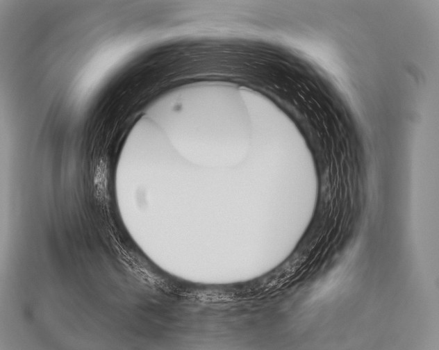 X0000112810146200908210946