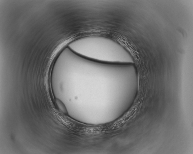 X0000112810147200908210946