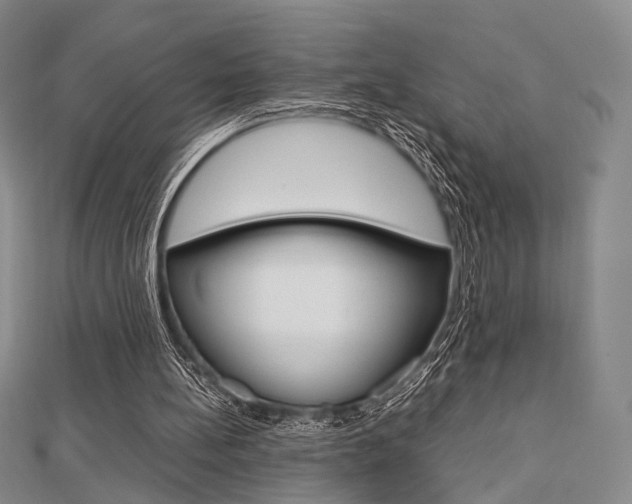 X0000112810148200908210946