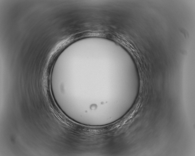 X0000112810149200908210946