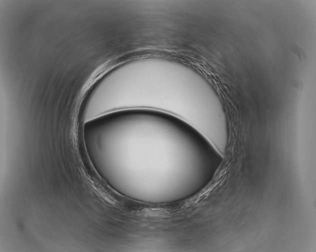 X0000112810150200908210946