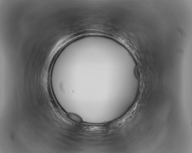 X0000112810151200908210946