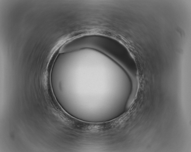 X0000112810152200908210946