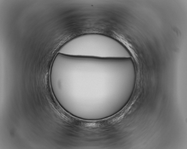 X0000112810153200908210946