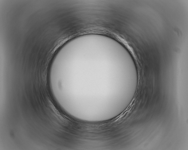 X0000112810154200908210946