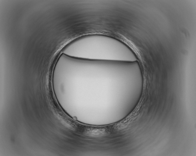 X0000112810155200908210946