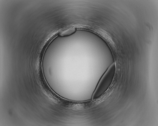 X0000112810156200908210946