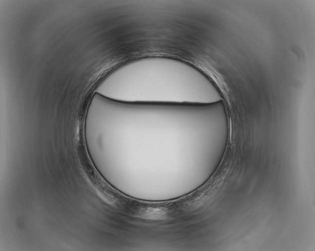 X0000112810157200908210946