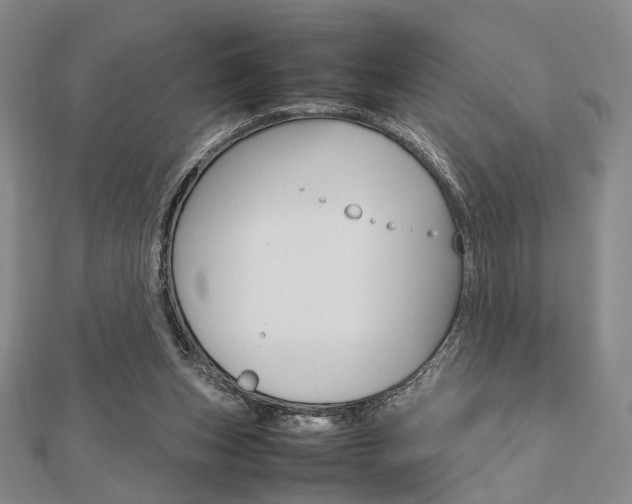 X0000112810159200908210946