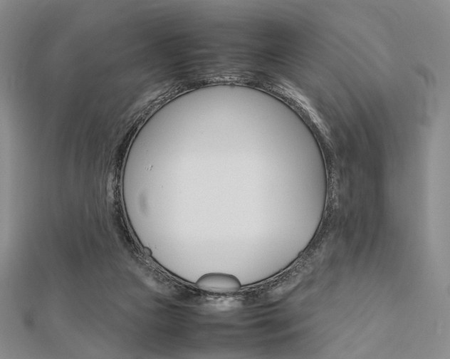 X0000112810161200908210946
