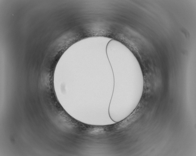 X0000112810162200908210946