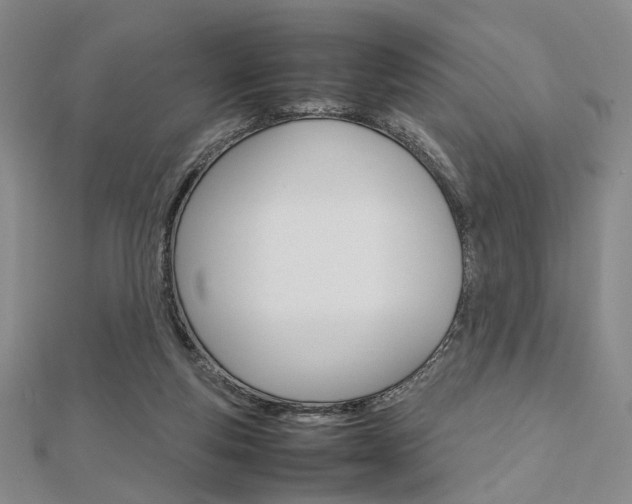 X0000112810163200908210946