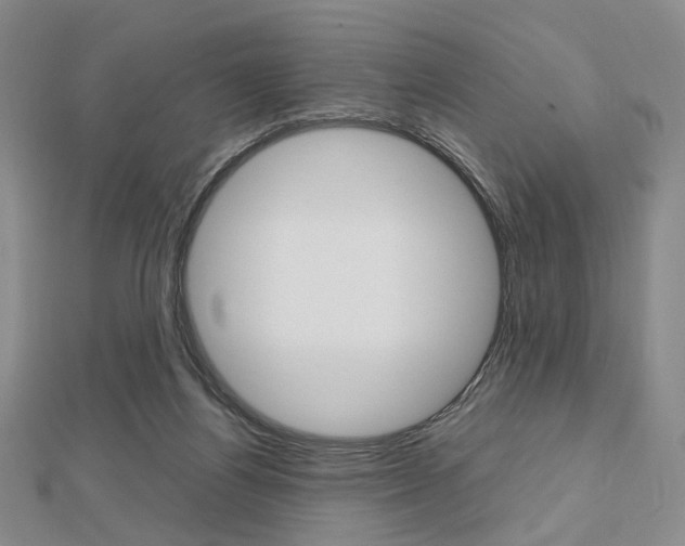 X0000112810164200908210946