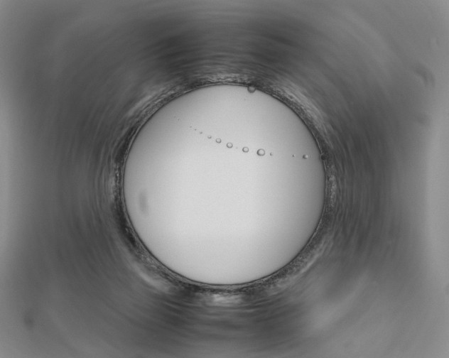 X0000112810165200908210946