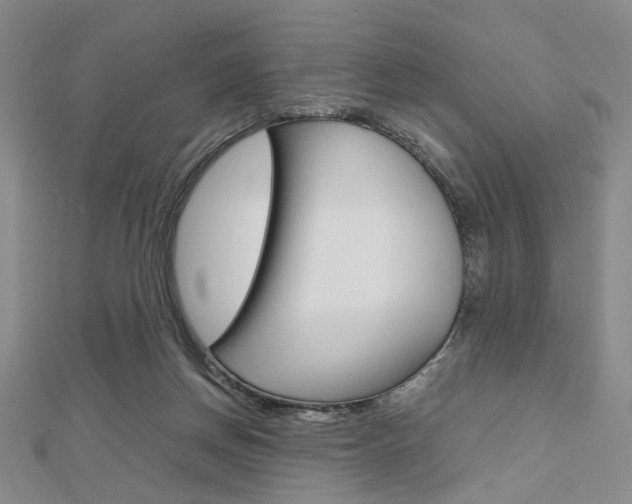 X0000112810166200908210946