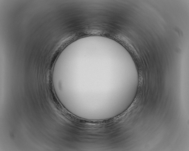 X0000112810167200908210946