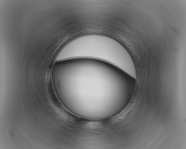 X0000112810168200908210946