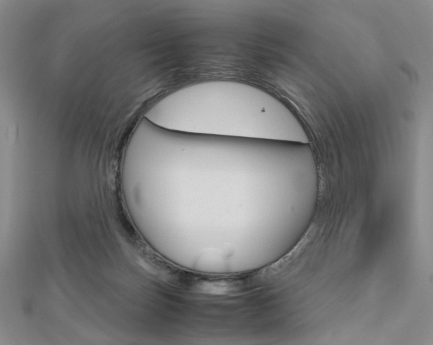 X0000112810171200908210946
