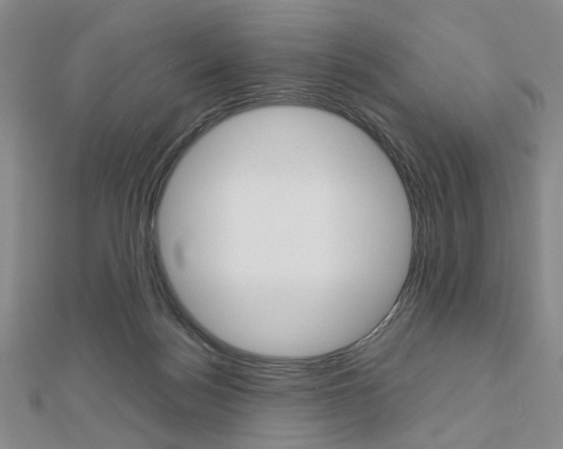 X0000112810172200908210946