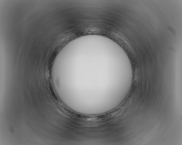 X0000112810173200908210946