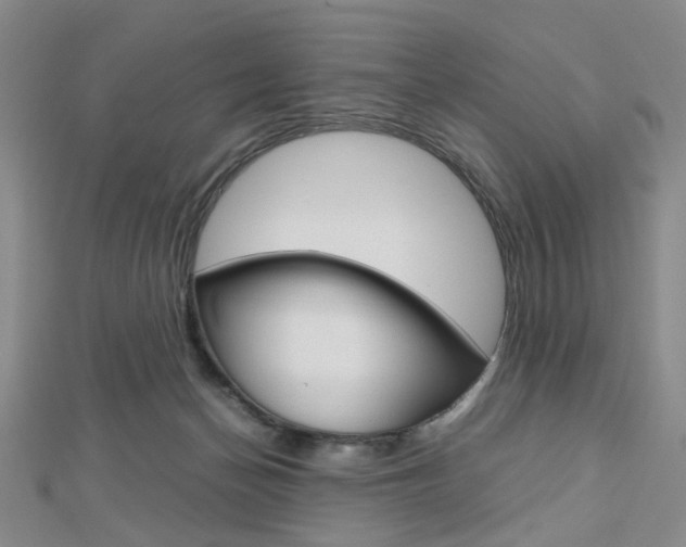 X0000112810174200908210946