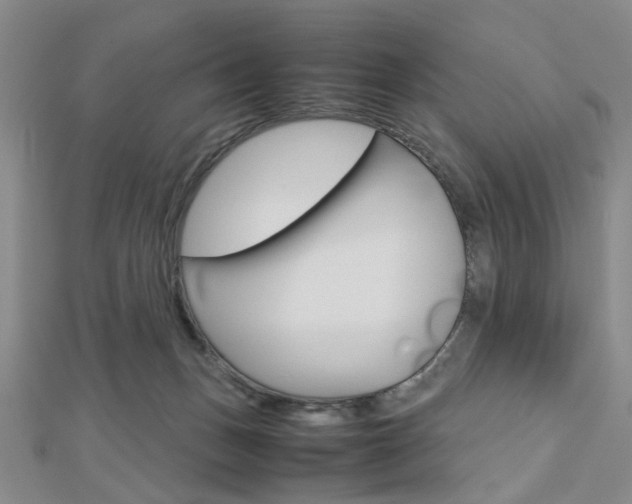 X0000112810175200908210946