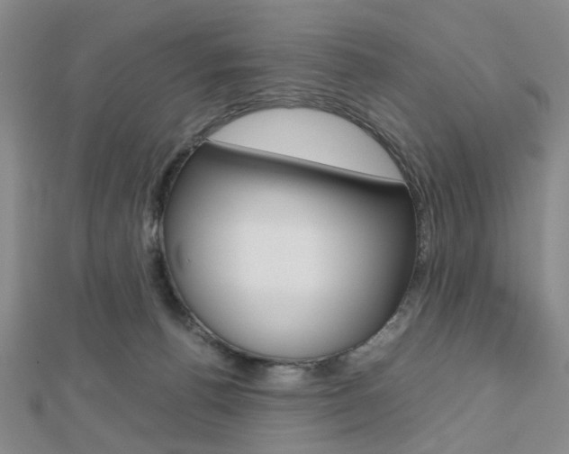 X0000112810176200908210946