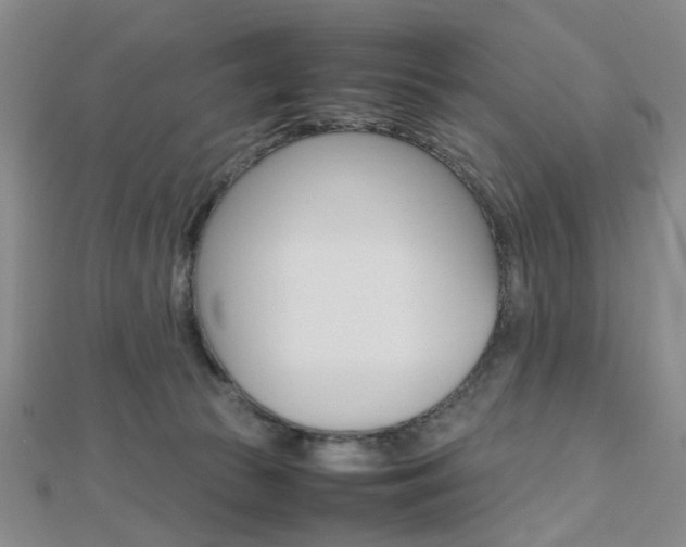 X0000112810177200908210946