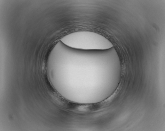 X0000112810178200908210946