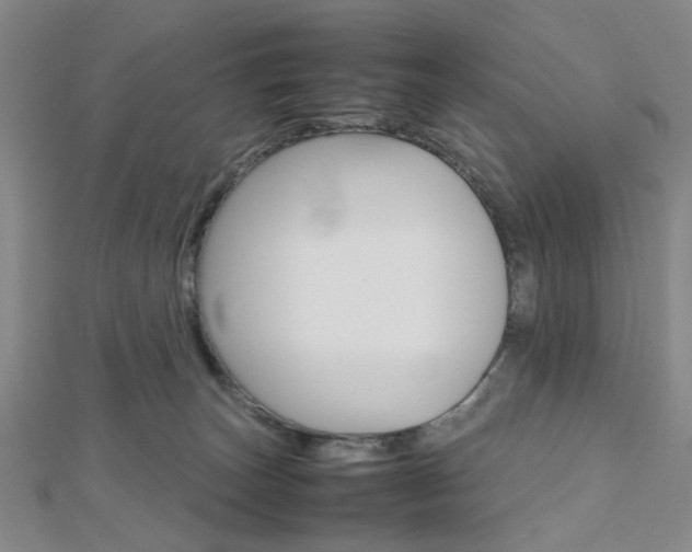 X0000112810179200908210946