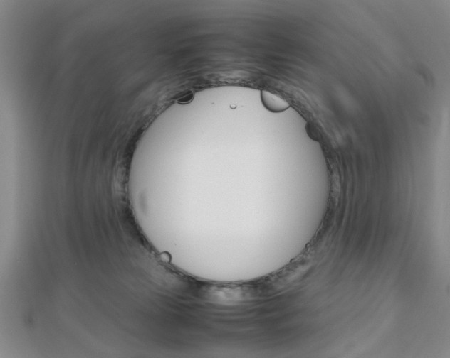 X0000112810181200908210946