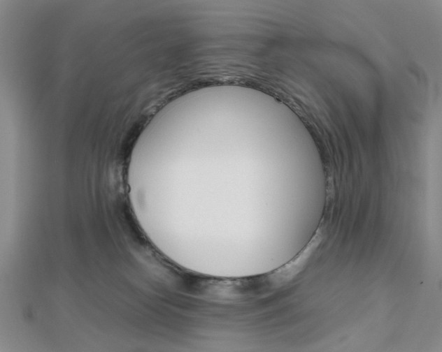 X0000112810182200908210946