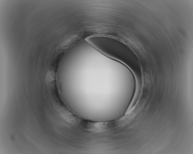 X0000112810184200908210946