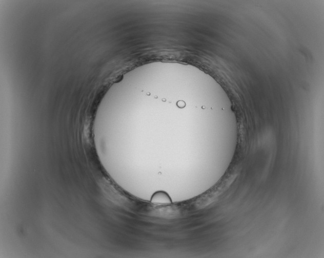 X0000112810185200908210946