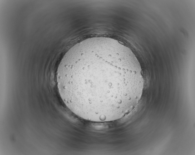 X0000112810187200908210946